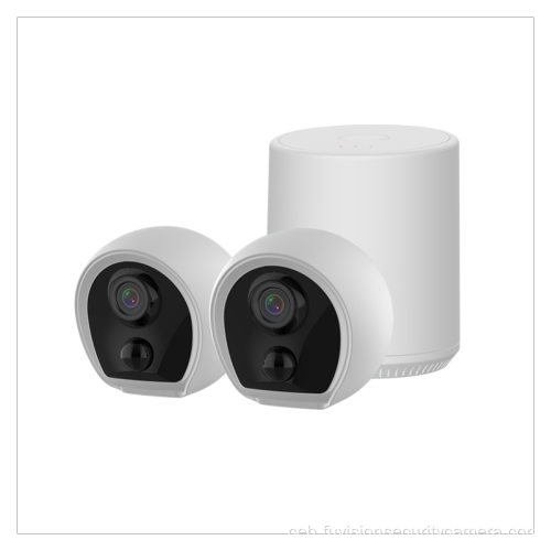 Ubos nga Power Surveillance Camera Set